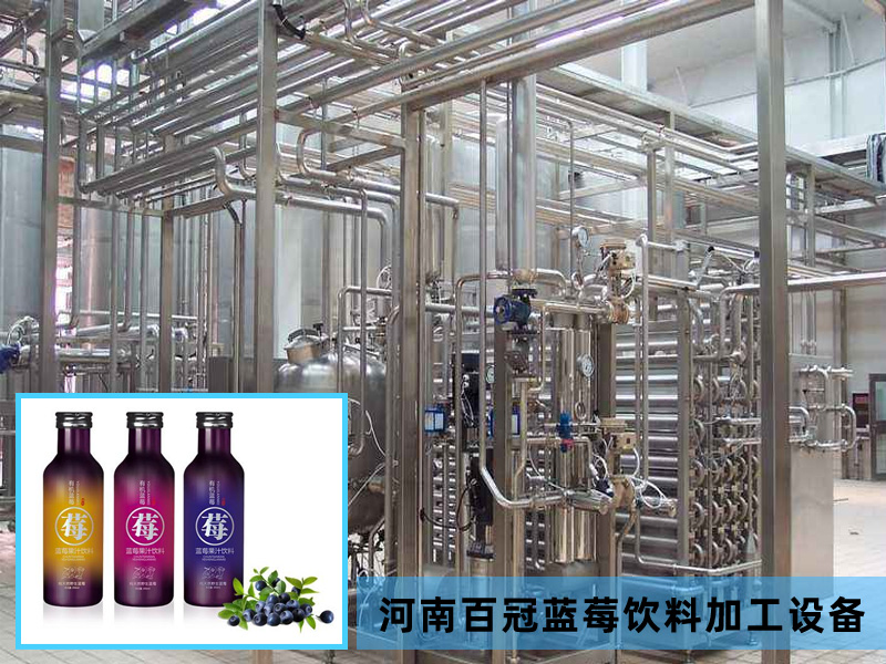 全套藍莓飲料加工設(shè)備價格廠家直銷,河南百冠2020款新品上市